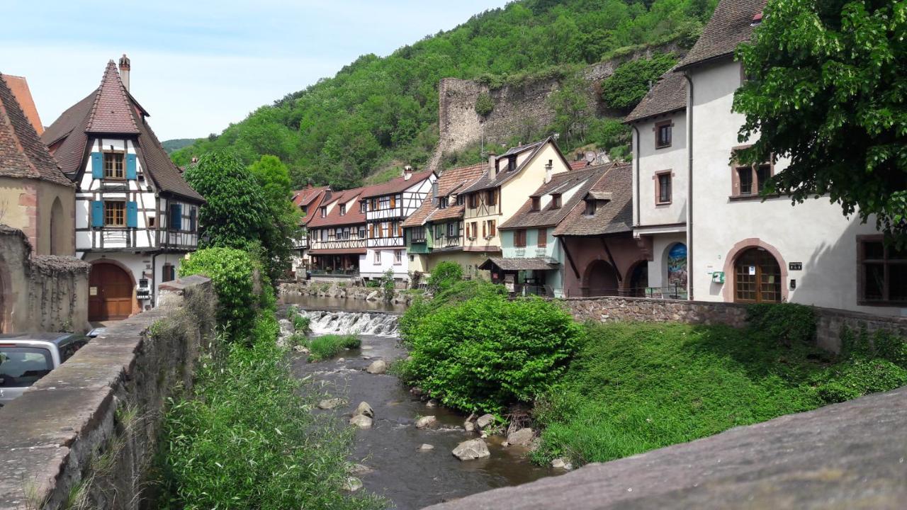 Gîtes individuels à Kaysersberg Exterior foto