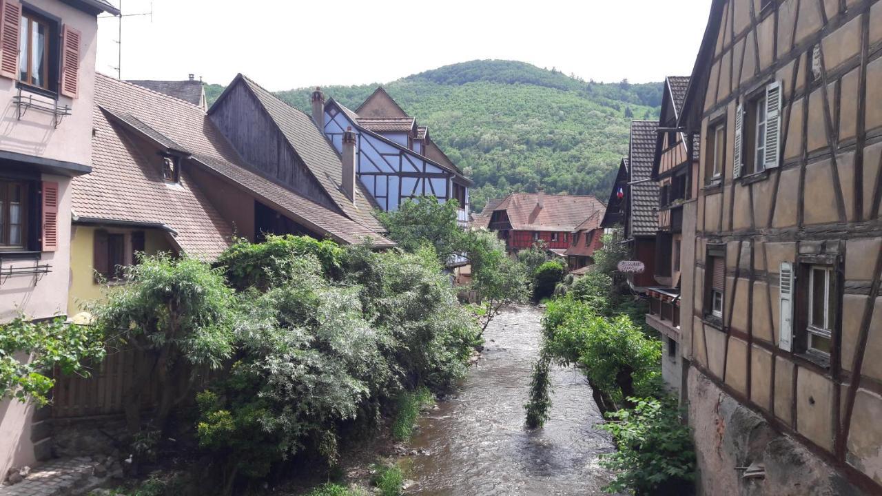 Gîtes individuels à Kaysersberg Exterior foto